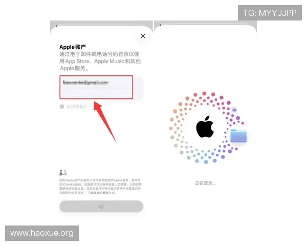 壹号平台app下载官网官方平台下载安装教程及常见问题解答