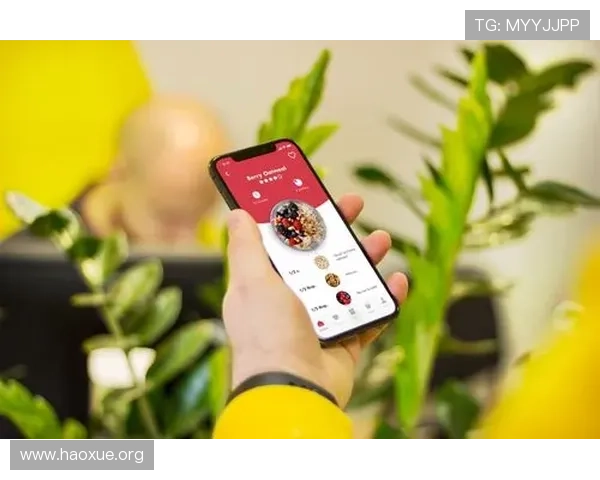 壹号的网址:壹号平台官方网站的详细介绍与用户访问流程指南 壹号的网址:壹号平台官方网站的详细介绍与用户访问流程指南